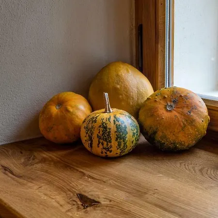 Appartement Statek U Medveda *