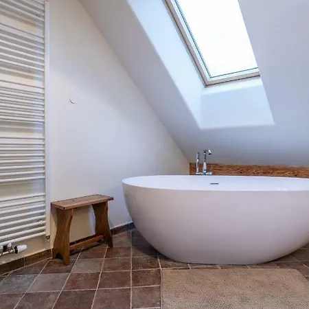 Statek U Medveda Appartement Nová Pec